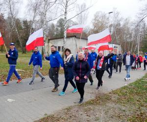 Hop do wody! Tak morsy z woj. lubelskiego świętowały Święto Niepodległości!