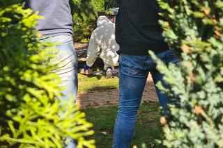 Makabryczne odkrycie w Stalowej Woli. Znaleźli dwa ciała