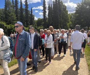 Kolejka tort urodziny Szczecina 