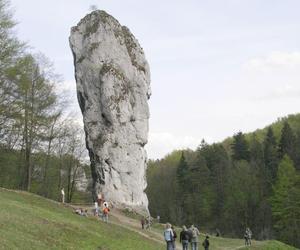 Ojcowski Park Narodowy zachwycił zagraniczne media. To prawdziwa oaza spokoju