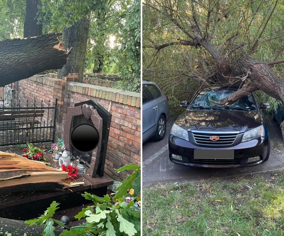 Powalone drzewa zniszczyły cmentarz i miażdżyły samochody