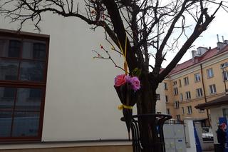 lubelskie przedszkolaki powitały wiosne