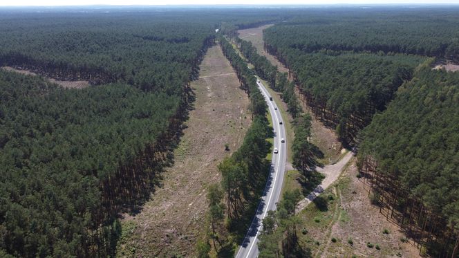 Droga ekspresowa S10 łącząca Bydgoszcz i Toruń coraz bliżej. Jest decyzja wojewody kujawsko-pomorskiego w sprawie budowy