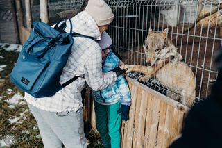 Dziewczynka z Hospicjum Cordis spełniła swoje marzenie. Janeczka poznała się z wilkami 