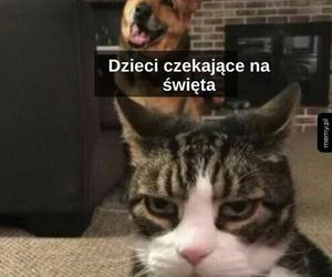 Memy świąteczne 2023 