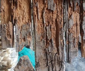 Warszawa. Oficyna Burkego