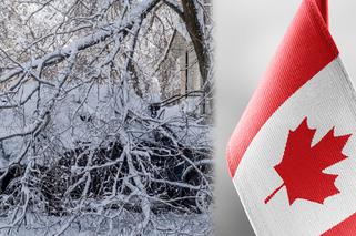 Wybawienie przed wichurami nadejdzie z Kanady! Prognozy zaskakują