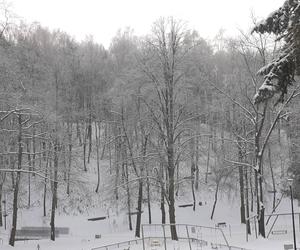 Starachowice w zimowej szacie