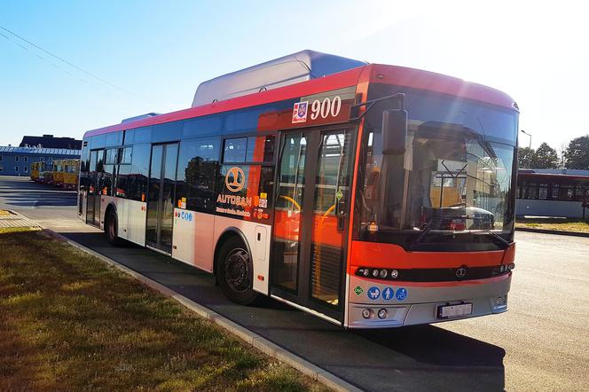 Będą specjalne linie autobusowe w Rzeszowie na Wszystkich Świętych