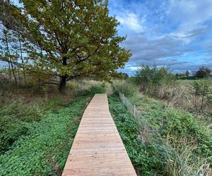 Serenity Park w Mysłowicach to nowe miejsce wypoczynku na Śląsku