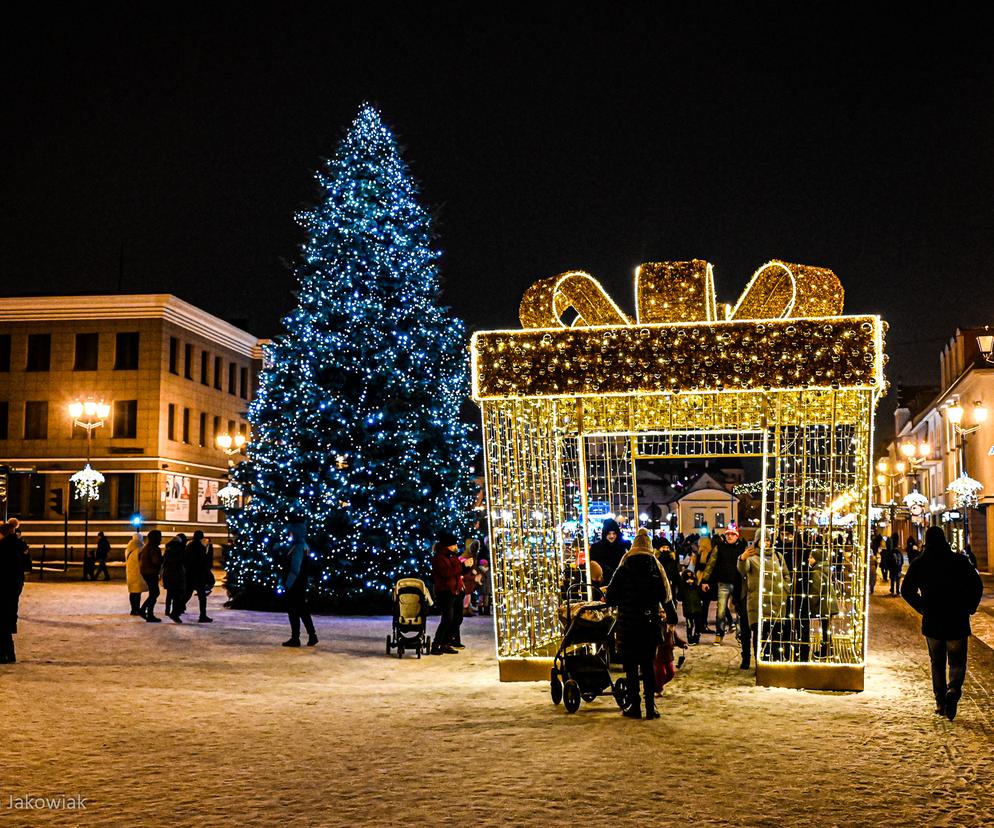 Białystok. Urząd Miejski poszukuje choinki na Boże Narodzenie