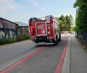 Szybowiec przeleciał tuż nad głową nastolatki jadącej na koniu