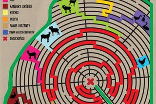 Labirynt w Łopuszce Małej zaprasza! Otwarcie sezonu 2025 już 19 lipca