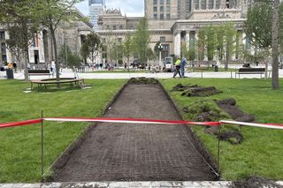 Była trawa, nie ma trawy? Drogowcy tłumaczą prace na nowo oddanym pl. Centralnym