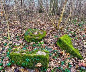 Tak wygląda XIX-wieczny cmentarz ewangelicki w Bynowie