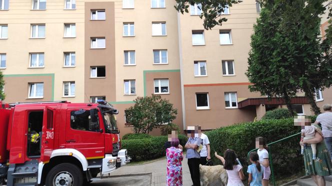 Przypalona kolacja w Białymstoku. Interwencja strażaków w bloku przy ul. Magnoliowej