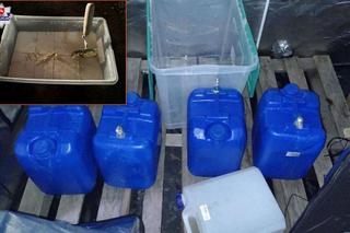 Narkotykowe laboratorium na Podlasiu. Policja zabezpieczyła ponad 200 kg nielegalnej substancji