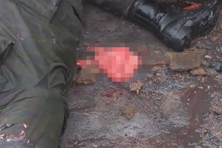 DRASTYCZNE! Rosyjskie BESTIE nie znają litości! Krew, [ZDJĘCIA i WIDEO +18]