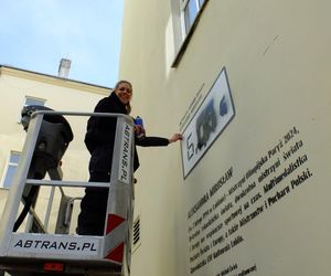 Aleksandra Mirosław przemalowała mural ze swoim wizerunkiem. Nie wiedziałam co z tego wyjdzie