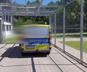 Jelenia Góra. 51-latka uciekła po uwięzieniu w pustostanie. Była wielokrotnie bita przez 40-latka.