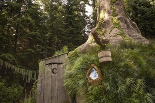 Niesamowita oferta dla szczęściarzy. Dom Shreka do wynajęcia! 