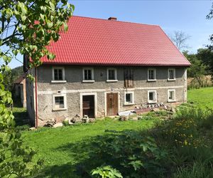 Dwie Brzozy w Kleczy pod Wleniem