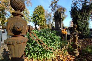 Ostrów. To będzie 28 kwesta na Starym Cmentarzu 