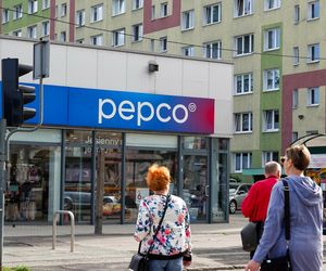 Te naczynia Psi Patrol są skażone ołowiem. Natychmiast zwróć je do sklepu