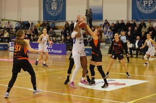 Enea AZS Politechnika Poznań - KGHM BC Polkowice