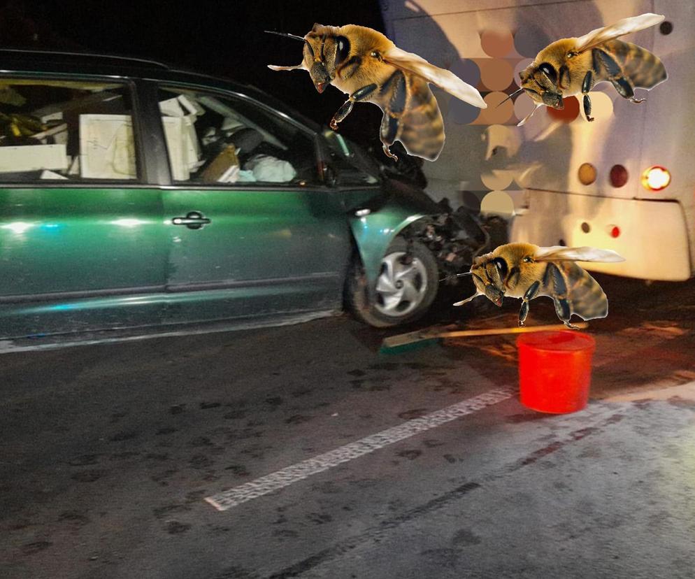 Kierowca zaatakowany przez rój pszczół nie żyje. Wjechał w autokar pełen pasażerów