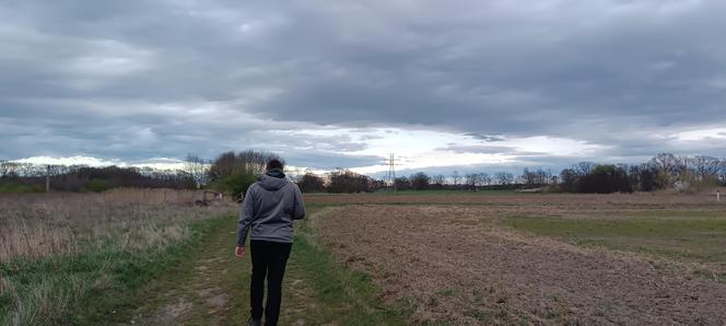 Wały nad Widawą we Wrocławiu. Idealne miejsce na wiosenny spacer we Wrocławiu. Tutaj zapomnisz o pracy