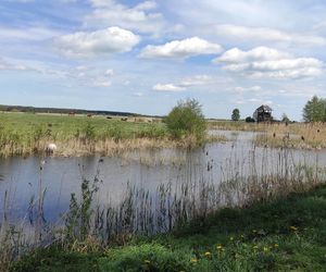 Europejska Wieś Bociania w Pentowie. Unikalne miejsce na Podlasiu