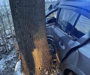 Auto uderzyło w drzewo 44-latka w szpitalu