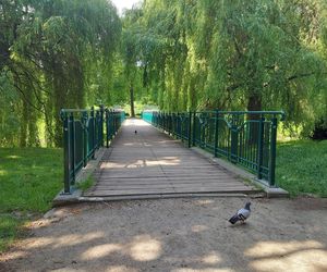 Park Miejski w Zamościu