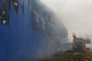 Potężny pożar niedaleko Lublina. Straty oszacowano na 12 mln zł