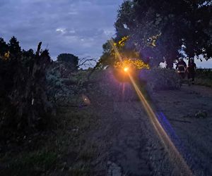 Burze nawiedziły województwo kujawsko-pomorskie. Zdjęcia z akcji strażaków