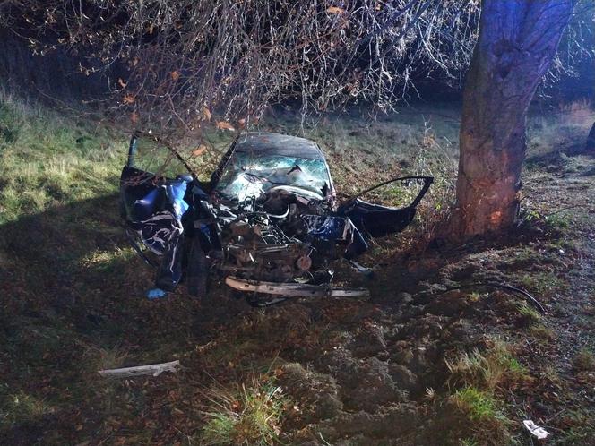 Audi wypadło z drogi i uderzyło w drzewo. Kierowca uwięziony w zmasakrowanym aucie!