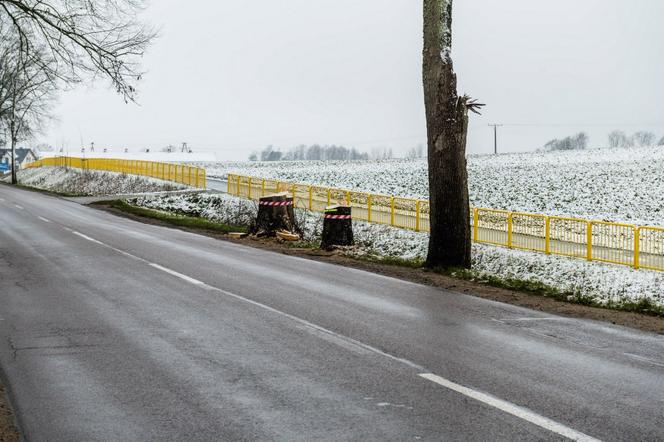 WARIAT Z PIŁĄ grasuje na Pomorzu! "Naciął kilkadziesiąt drzew". Jedno RUNĘŁO NA DROGĘ