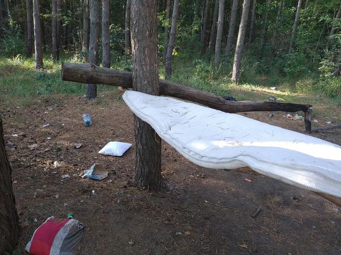 Las nieopodal ulicy Szmaragdowej tonie w śmieciach. 