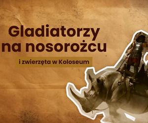 Gladiator 2 / Nosorożec i zwierzęta w Koloseum