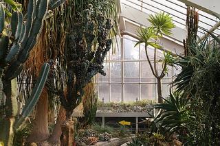 7 najładniejszych ogrodów botanicznych w Polsce. Kiedy je odwiedzić i gdzie są?