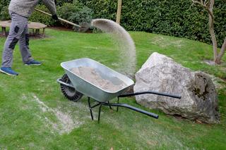 Piaskowanie trawnika - kiedy i jak piaskować trawnik i jakiego piasku użyć?