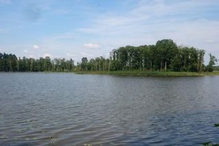 Okolice wsi Sejwy na Podlasiu