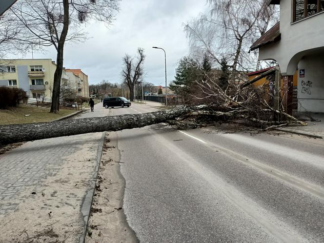 Szkody po Orkanie Eunice. Zrywało dachy, wyrywało grube drzewa, brakowało prądu