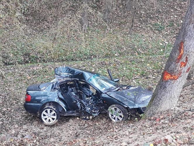 Libusza. Osobówka wypadła jezdni prosto na drzewo! W środku dwie zakleszczone osoby