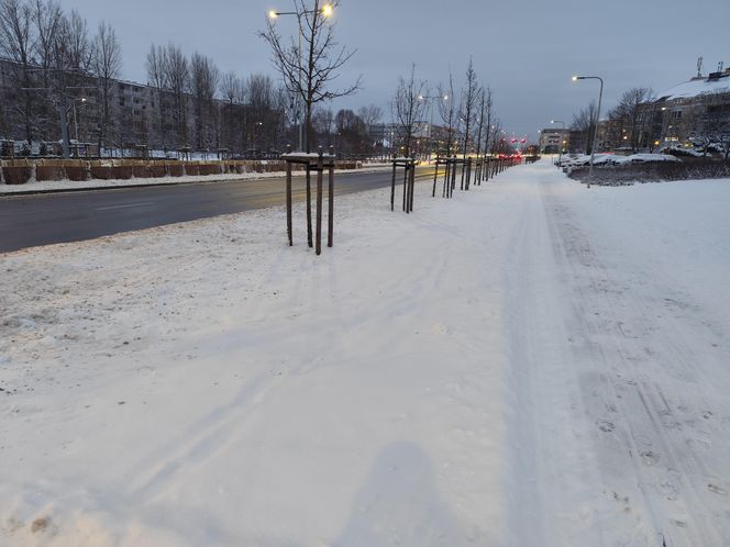 Śnieżna noc za nami. Czy zima zaskoczyła mieszkańców Poznania? 