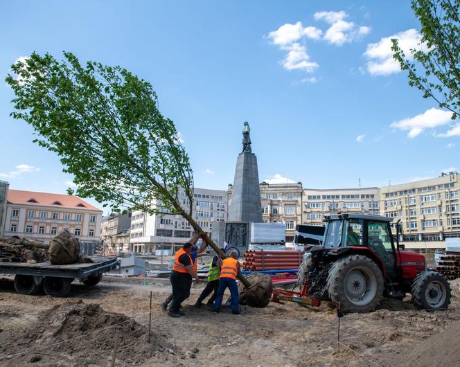 Plac Wolności w Łodzi się zazielenia