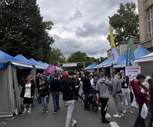 Piknik nad Odrą 2024 Szczecin 