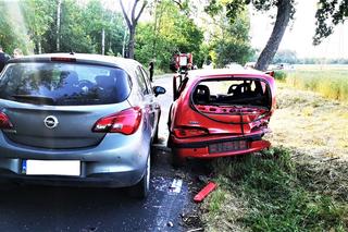 Śmiertelny wypadek pod Szamotułami. Pijany Ukrainiec staranował dwóch 14-latków 