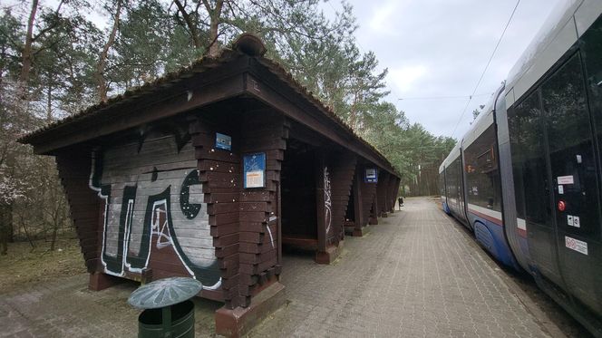 Tak po modernizacji będzie wyglądała pętla tramwajowa w Lesie Gdańskim! 